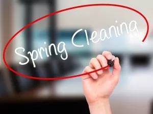 have you planned spring cleaning yet